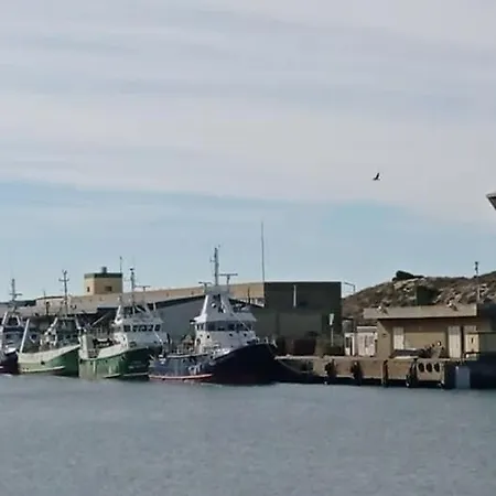 West Coast Dream Tatil Evi