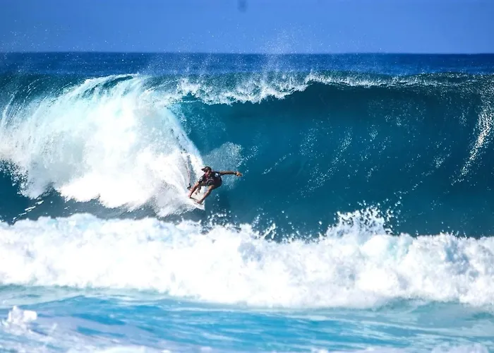 West Coast Dream Semesterbostad