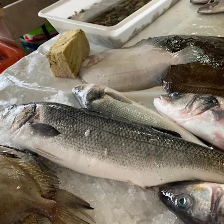 West Coast Dream Casa vacanze