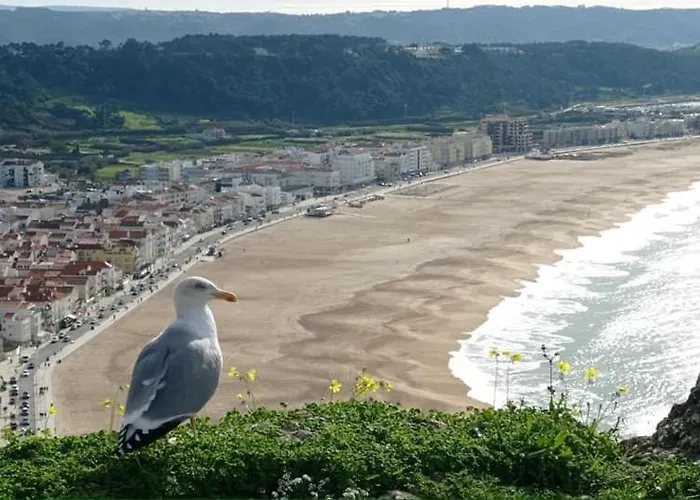 West Coast Dream Ferienhaus