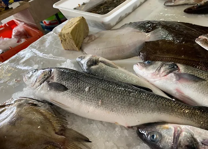 West Coast Dream Ferienhaus